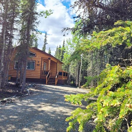 Denali Wild Stay - Moose Cabin, Free Wifi, 2 Private Bedrooms, Sleep 6 Healy Exteriér fotografie