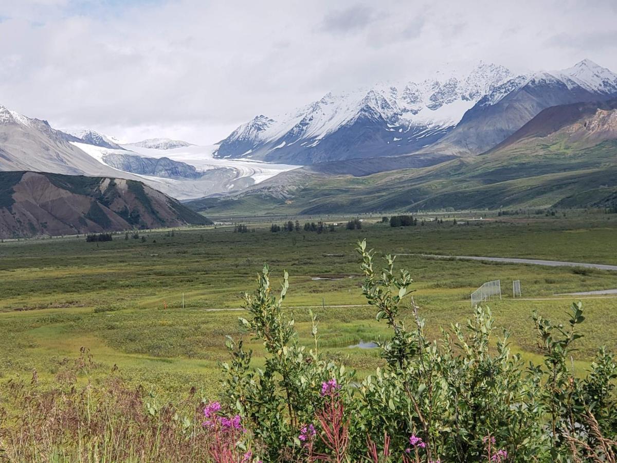 Denali Wild Stay - Moose Cabin, Free Wifi, 2 Private Bedrooms, Sleep 6 Healy Exteriér fotografie