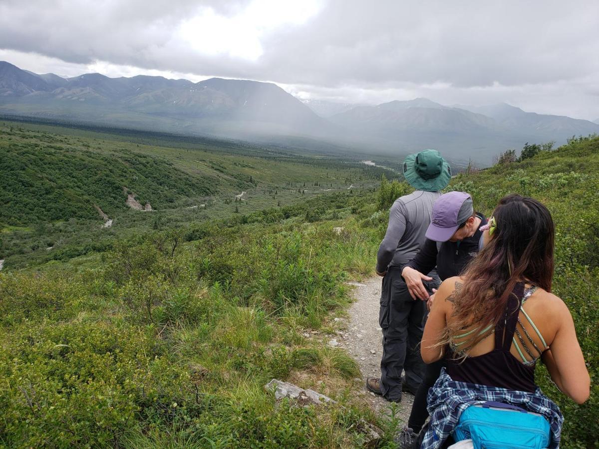 Denali Wild Stay - Moose Cabin, Free Wifi, 2 Private Bedrooms, Sleep 6 Healy Exteriér fotografie