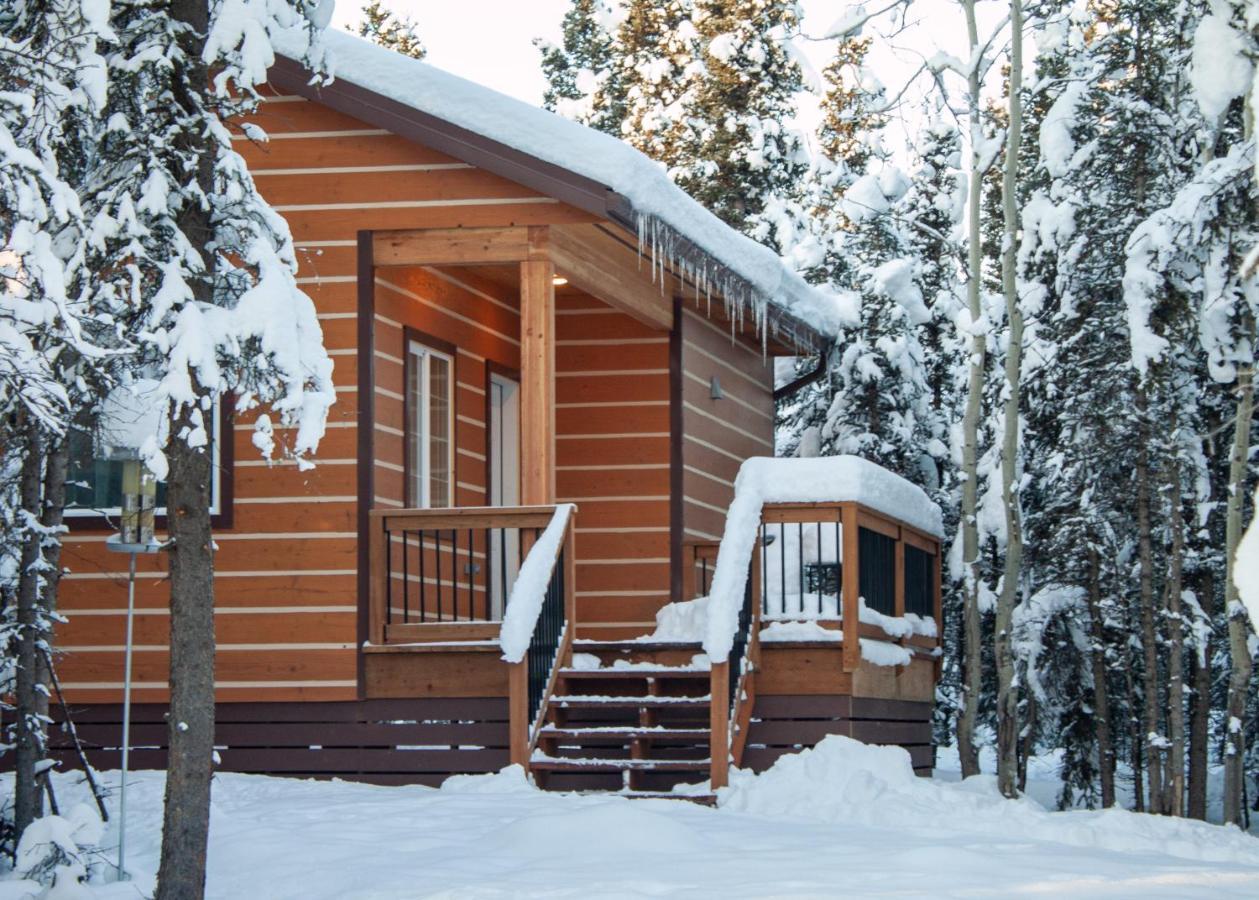Denali Wild Stay - Moose Cabin, Free Wifi, 2 Private Bedrooms, Sleep 6 Healy Exteriér fotografie