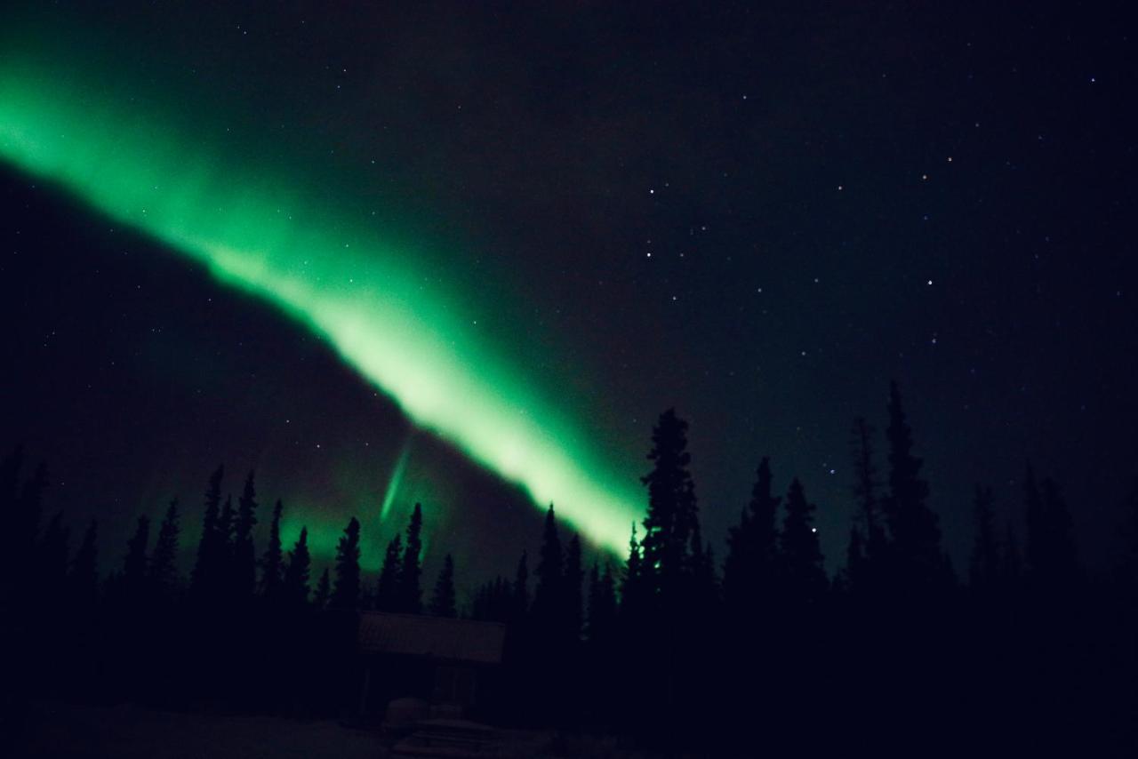 Denali Wild Stay - Moose Cabin, Free Wifi, 2 Private Bedrooms, Sleep 6 Healy Exteriér fotografie