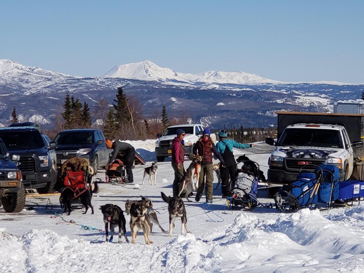 Denali Wild Stay - Moose Cabin, Free Wifi, 2 Private Bedrooms, Sleep 6 Healy Exteriér fotografie