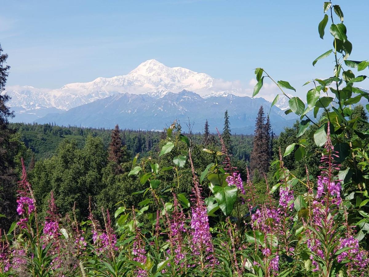 Denali Wild Stay - Moose Cabin, Free Wifi, 2 Private Bedrooms, Sleep 6 Healy Exteriér fotografie