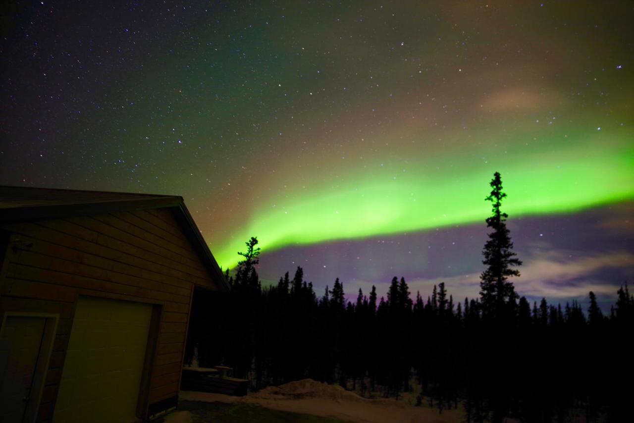 Denali Wild Stay - Moose Cabin, Free Wifi, 2 Private Bedrooms, Sleep 6 Healy Exteriér fotografie