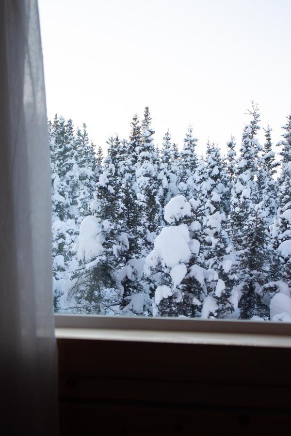 Denali Wild Stay - Moose Cabin, Free Wifi, 2 Private Bedrooms, Sleep 6 Healy Exteriér fotografie