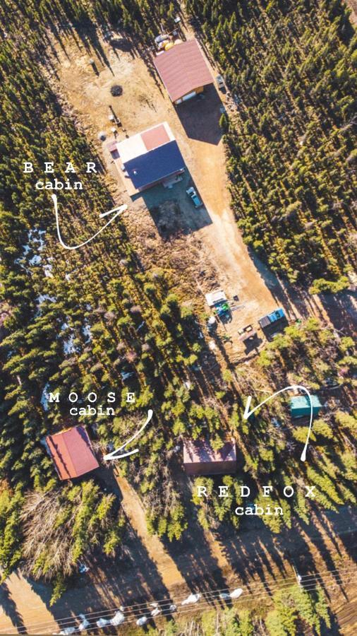 Denali Wild Stay - Moose Cabin, Free Wifi, 2 Private Bedrooms, Sleep 6 Healy Exteriér fotografie