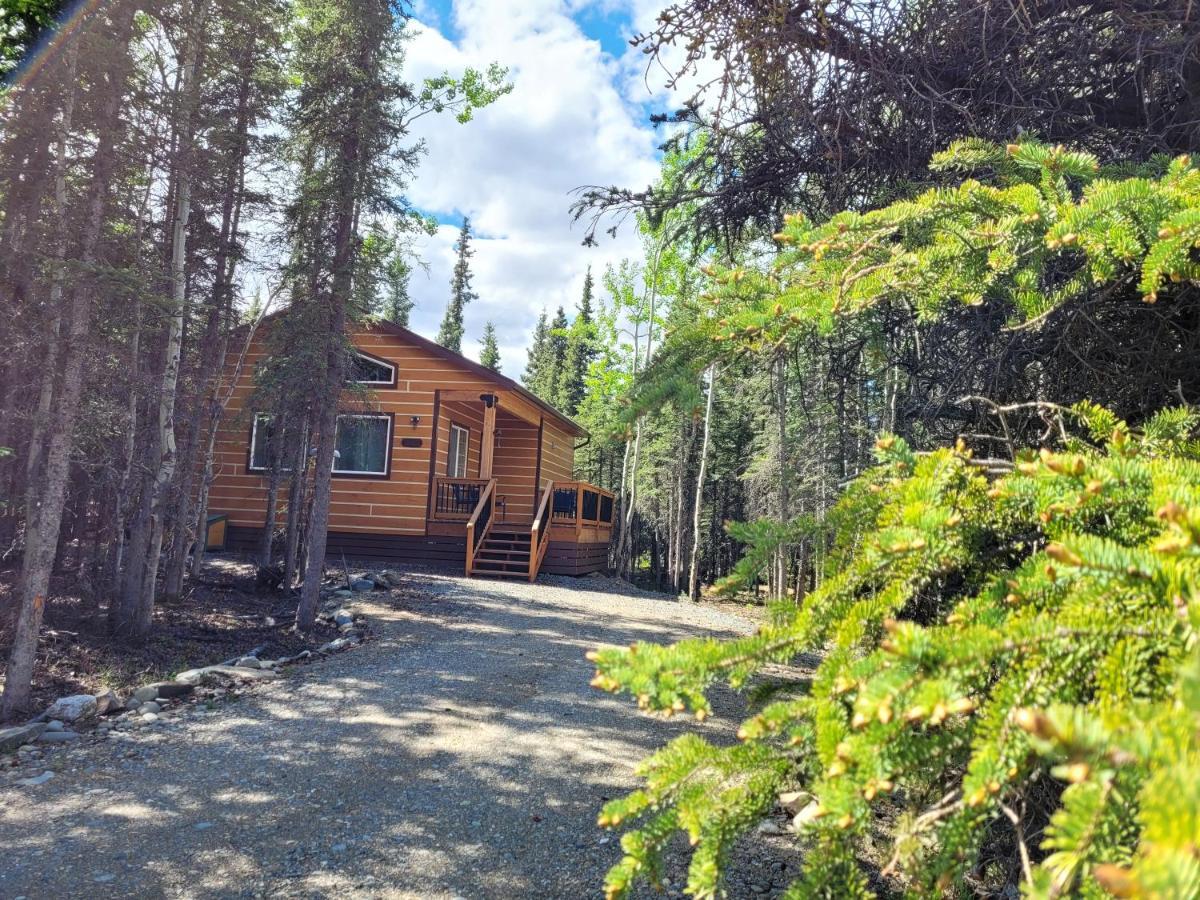 Denali Wild Stay - Moose Cabin, Free Wifi, 2 Private Bedrooms, Sleep 6 Healy Exteriér fotografie
